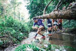 BIB: 
                            <button type="button" onclick="openModal(25457728)" class="btn btn-primary btn-sm float-right btn-popup" data-toggle="modal" data-target=".modal-high-quality">
                        <i class="fas fa-shopping-cart"></i> Add to Cart
                    </button>
                                            <button type="button" onclick="isThisMe(25457728, true)" class="btn btn-success btn-sm float-right btn-popup btn-isme hidden" data-toggle="tooltip" data-placement="bottom" title="นี่คือรูปของคุณใช่ไหม คลิกที่นี่เพื่อเอาเข้าอัลบั้ม">
                        <i class="fas fa-plus"></i> Add to album
                    </button>
                    <button type="button" onclick="isThisMe(25457728, false)" class="btn btn-warning btn-sm float-right btn-popup btn-isnotme hidden">
                        <i class="fas fa-ban"></i> Remove from album
                    </button>